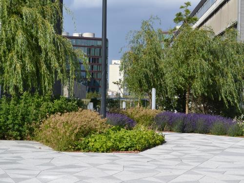 Pathways and plant beds with lush vegetation